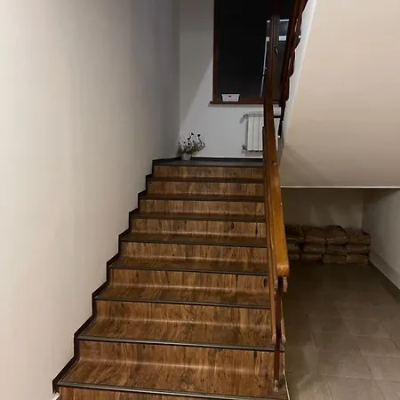 Sequoia2 No 5 * Μπόροβετς