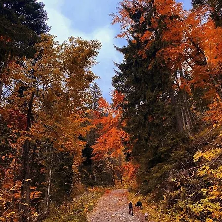 Sequoia2 No 5 アパート