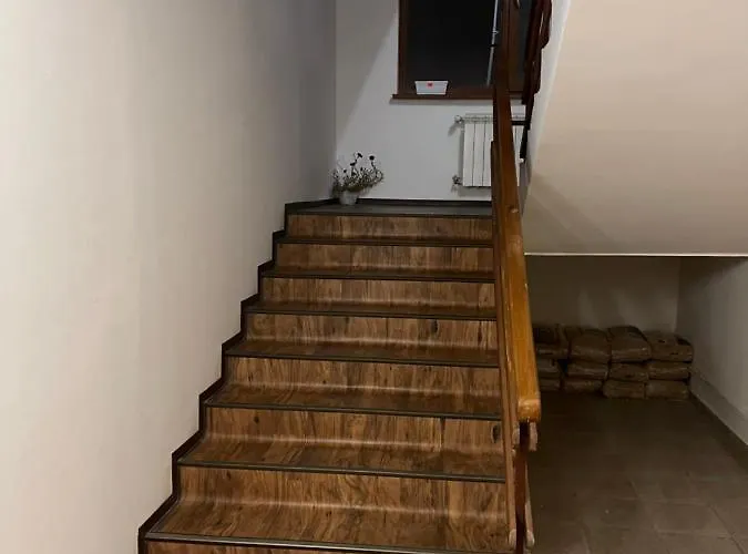 Sequoia2 No 5 * Boroveț