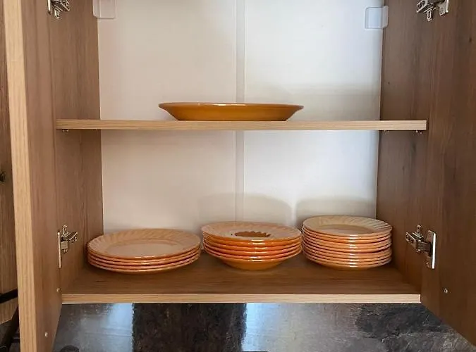 Sequoia2 No 5 Boroveț